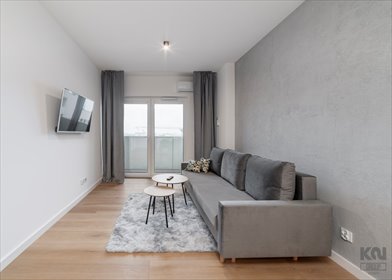 mieszkanie na wynajem 53m2 mieszkanie Łódź, Polesie, Srebrzyńska