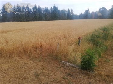 Działka budowlana na sprzedaż Biskupice, Biskupskie Drogi 1 564m2 Foto 2
