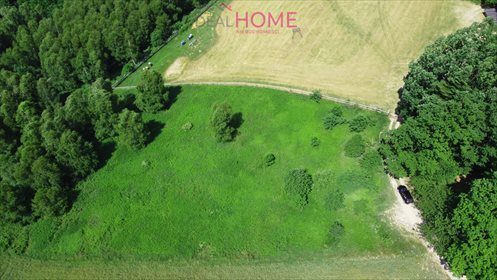 Działka rekreacyjna na sprzedaż Pstrągówka 6 900m2 Foto 2