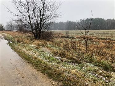 Działka rekreacyjna na sprzedaż Rusinowice 5 430m2 Foto 3