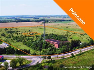Zapraszam do zakupu działki inwestycyjnej 385 818 m² z halami i infrastrukturą lokal użytkowy Lidzbark Warmiński, Lidzbark Warmiński, ul. Jarosława Dąbrowskiego
