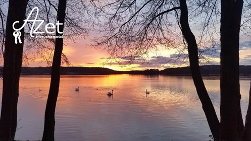 działka na sprzedaż 3000m2 działka Prusy