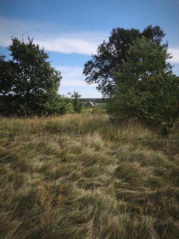 Na sprzedaż działka 16 arów pod dom w Strzemieczne-Wiosny działka Strzemieczne-Wiosny