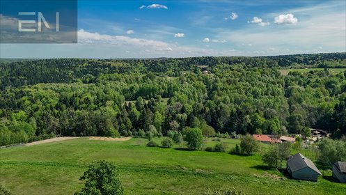 Działka 3020 m² z warunkami zabudowy w Sołonce działka Sołonka