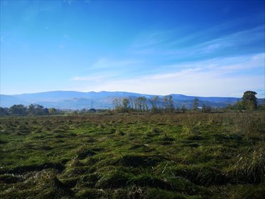 działka na sprzedaż 4000m2 działka Wojcieszyce