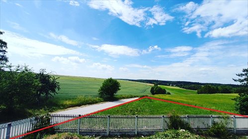Działka budowlana na sprzedaż Sadki 1 500m2 Foto 4