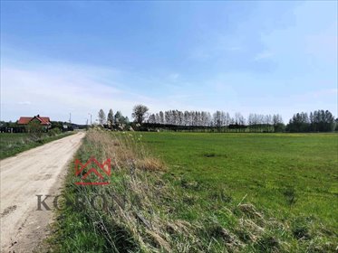 działka na sprzedaż 25804m2 działka Studzianki