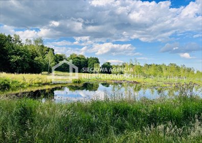 Działka siedliskowa z stawem i lasem - 10,3 ha w Pomorskiem działka Jaroszewy
