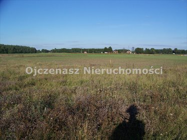 Działka 1005 m² pod inwestycję w Maksymilianowie polecam działka Maksymilianowo