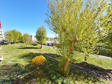 Polecam kawalerkę 35 m² z balkonem i potencjałem aranżacyjnym mieszkanie Tczew, Kochanowskiego
