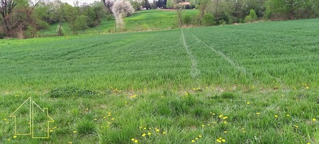 Działka budowlano-rolna 19,73 ar z WZ, media, asfalt - zapraszam działka Chmielnik