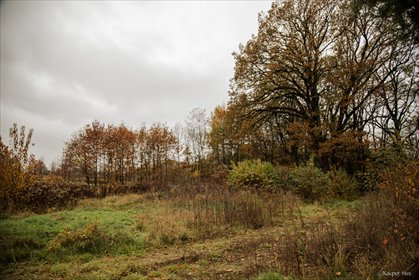 działka na sprzedaż 3100m2 działka Mokrzyska