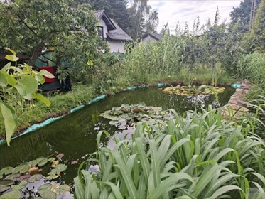 Polecam działkę 1000 m² z oczkiem wodnym i ogrodem działka Jaworzno, Walentego Roździeńskiego