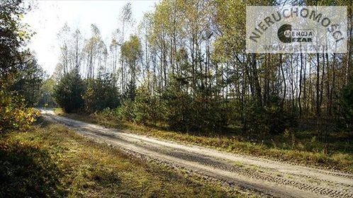 działka na sprzedaż 5200m2 działka Czarna