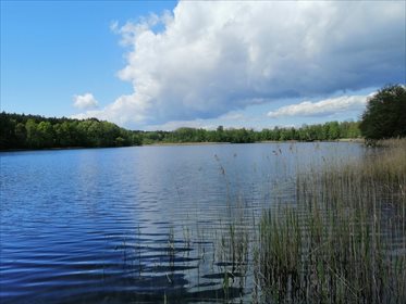 działka na sprzedaż 400000m2 działka Choszczno