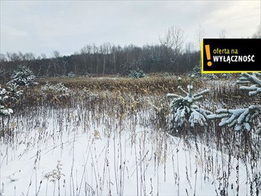 działka na sprzedaż 8595m2 działka Osiek