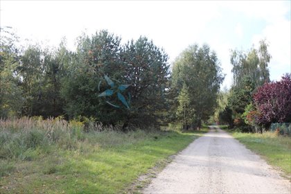 Polecam dużą działkę 3850 m² w Dębogórze z własnymi drzewami działka Dębogóra, Swarzędz/Dębogóra