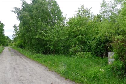 działka na sprzedaż 3000m2 działka Dzierżązna