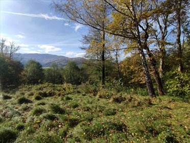 działka na sprzedaż 2600m2 działka Brenna, Widokowa