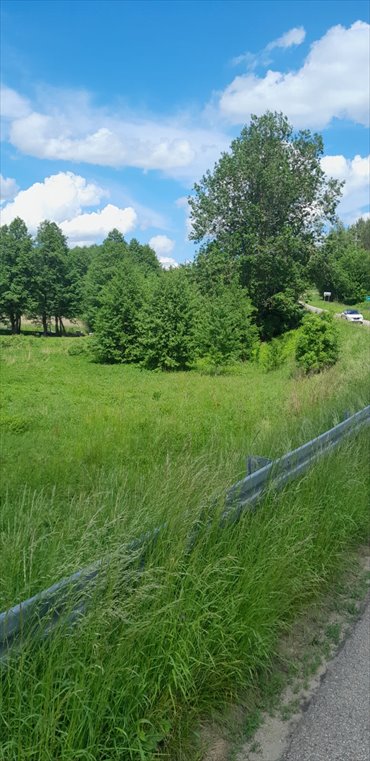 Działka rekreacyjna 1300 m² nad Jeziorem Szelment działka Wołownia
