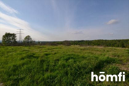 Działka inwestycyjna 19 280 m2 z dostępem do jeziora. działka Rzeczyce, Wiejska