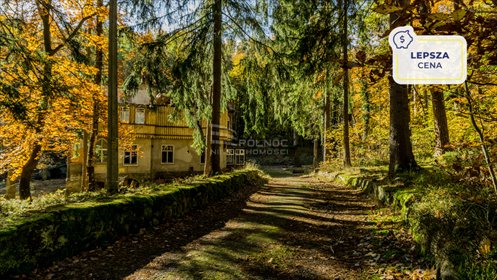 działka na sprzedaż 7998m2 działka Polanica-Zdrój, Piastowska