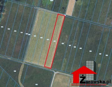 Działka rolna 5100 m² z potencjałem w Piotrówce działka Piotrówka