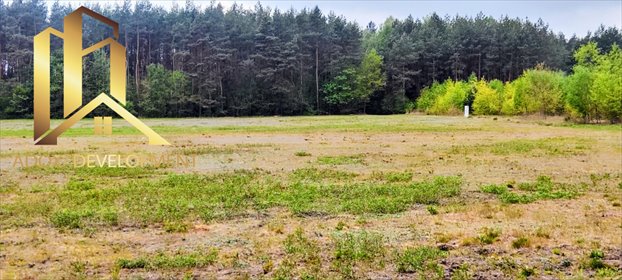 Działka rolna z lasem, prąd, szybki dojazd do Warszawy działka Mieszkowo, Traktowa