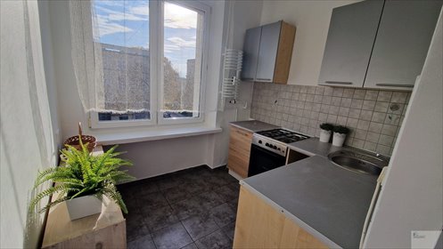 mieszkanie na wynajem 49m2 mieszkanie Katowice, Misjonarzy Oblatów MN