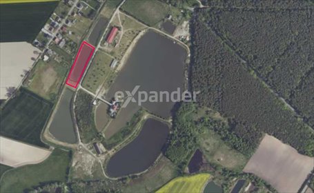 działka na sprzedaż 6069m2 działka Stroszki