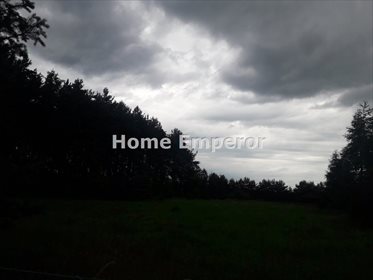 Działka budowlana na sprzedaż Gierłatowo 28 750m2 Foto 2