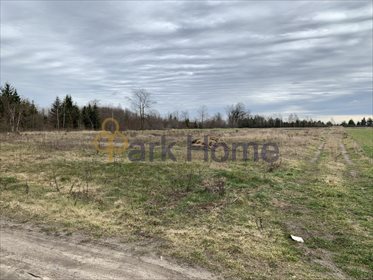 Działka budowlana na sprzedaż Dębno 36 000m2 Foto 5