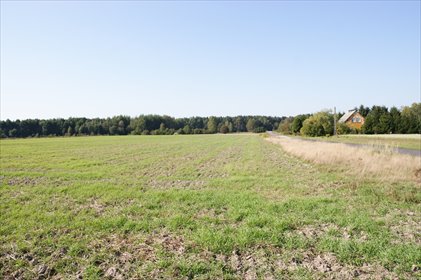 Duża działka 1,46 ha pod rekreację nad jeziorem Krasne działka Krasne