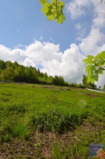działka na sprzedaż 1000m2 działka Szyk