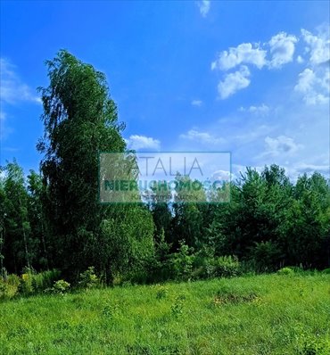 Do sprzedania działka 1500 m² w Kozerkach z dostępem do atrakcji działka Kozerki