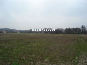 Działka inwestycyjna na sprzedaż Morawica 10 000m2 Foto 6