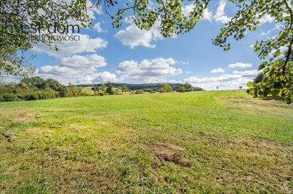 Sprzedam działkę 15 900 m² pod dom i działalność w Gładyszowie działka Gładyszów