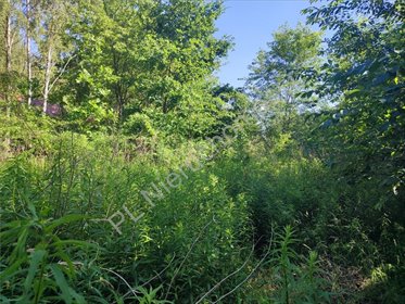 Działka budowlana 950 m² w Starej Wsi - polecam! działka Stara Wieś