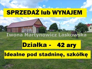 lokal użytkowy na sprzedaż 4200m2 lokal użytkowy Żabice