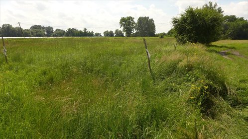 działka na sprzedaż 9000m2 działka Zofipole