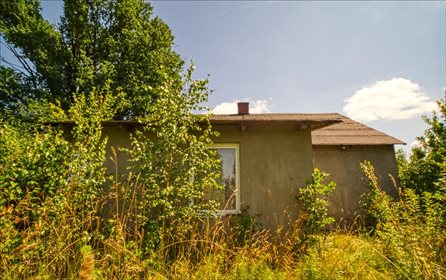 Działka inwestycyjna na sprzedaż Sitne 8 900m2 Foto 4