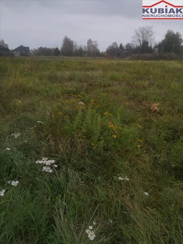 działka na sprzedaż 5800m2 działka Radzików