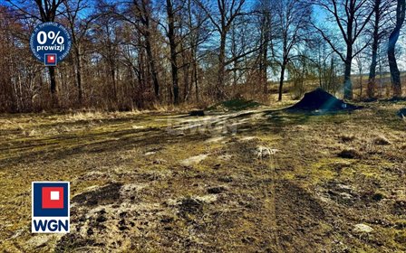 Działka budowlana 3100 m2 w Lulemino – spokój i natur działka Lulemino, Lulemino