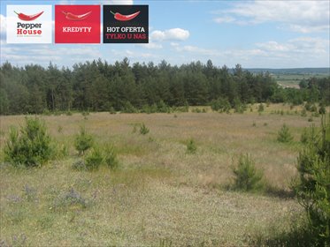 działka na sprzedaż 6500m2 działka Zdrojewo