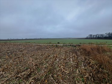 działka na sprzedaż 3326m2 działka Złotniki, Złotniki, J. Kochanowskiego
