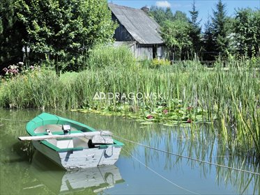 Lokal użytkowy na sprzedaż Białowieża 500m2 Foto 7