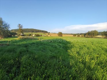 działka na sprzedaż 10020m2 działka Raszów