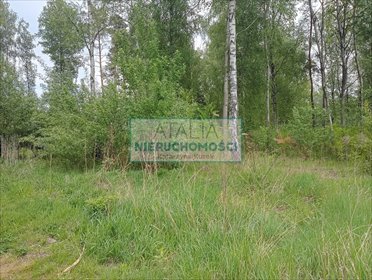 Działka 1500m² z mediami, las i zielona okolica działka Mościska