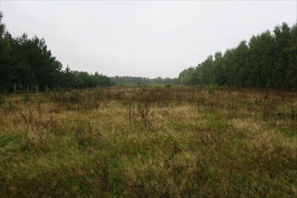 Działka budowlana na sprzedaż Ślepowron, Ślepowron 1 247m2 Foto 4