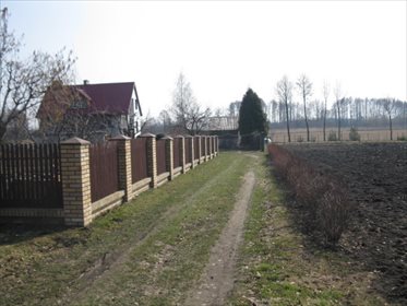 Działka budowlana na sprzedaż Minkowice 2 800m2 Foto 3